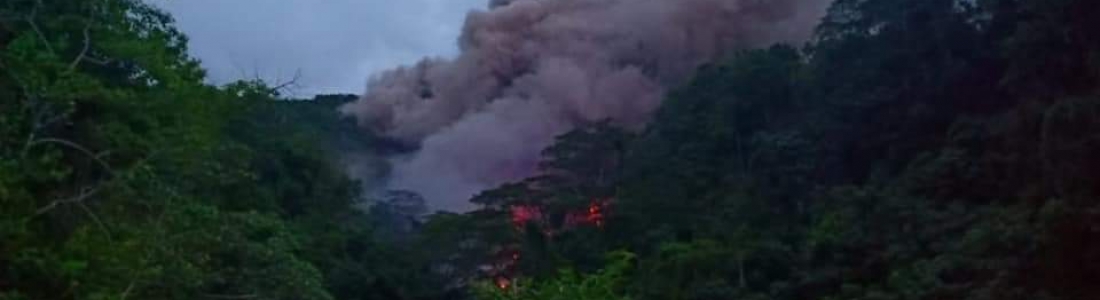 06 Fevrier 2019. FR . Indonésie : Karangetang , Colombie : Nevado del Huila , Hawaii : Kilauea , Chili : Villarica , Etats- Unis : Chaine des Cascades . 06 Fevrier 2019. FR . Indonésie : Karangetang , Colombie : Nevado del Huila , Hawaii : Kilauea , Chili : Villarica , Etats- Unis : Chaine des Cascades .