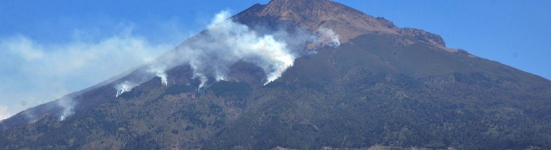 15 Novembre 2019. FR. Indonésie : Lamongan , Hawaii : Mauna Loa , Italie : Stromboli , Equateur : Sangay . 15 Novembre 2019. FR. Indonésie : Lamongan , Hawaii : Mauna Loa , Italie : Stromboli , Equateur : Sangay .