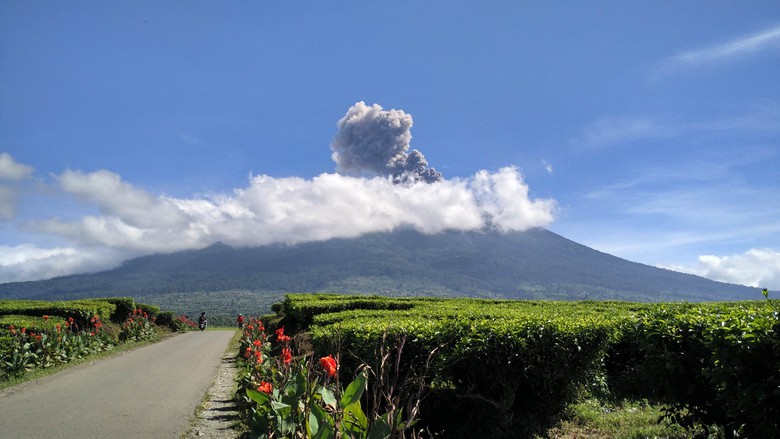 Lire la suite à propos de l’article January 19 , 2019.  EN.  Indonesia : Agung , Indonesia : Kerinci , El Salvador : San Miguel ( Chaparrastique ) , Spain : Tenerife .