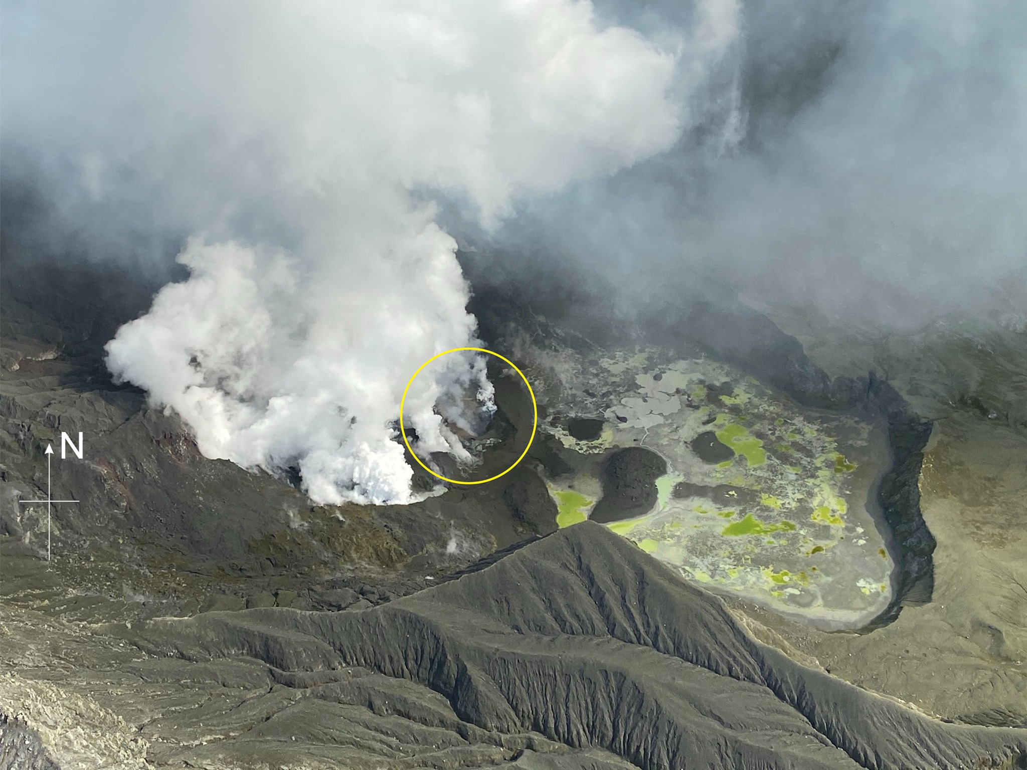 Lire la suite à propos de l’article December 16, 2019. EN. Indonesia : Dukono , New Zealand : White Island , Kamchatka : Ebeko , Guatemala : Pacaya .