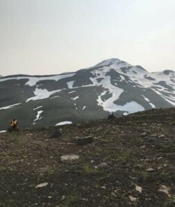 Lire la suite à propos de l’article 27 Avril 2025. FR. Alaska : Complexe Volcanique d’Atka , Kamchatka : Bezymianny , Costa Rica : Poas , Indonésie : Marapi , La Guadeloupe : La Soufrière .