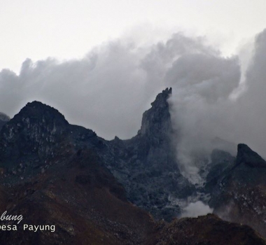 August 14, 2020. EN . Indonesia : Sinabung , Russia / Kurile Islands : Ebeko , Italy : Stromboli , Hawaii : Mauna Loa , El Salvador : San Miguel (Chaparrastique) .
